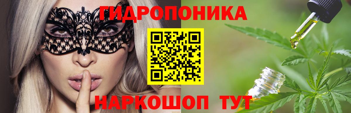 Конопля OG Kush Орск